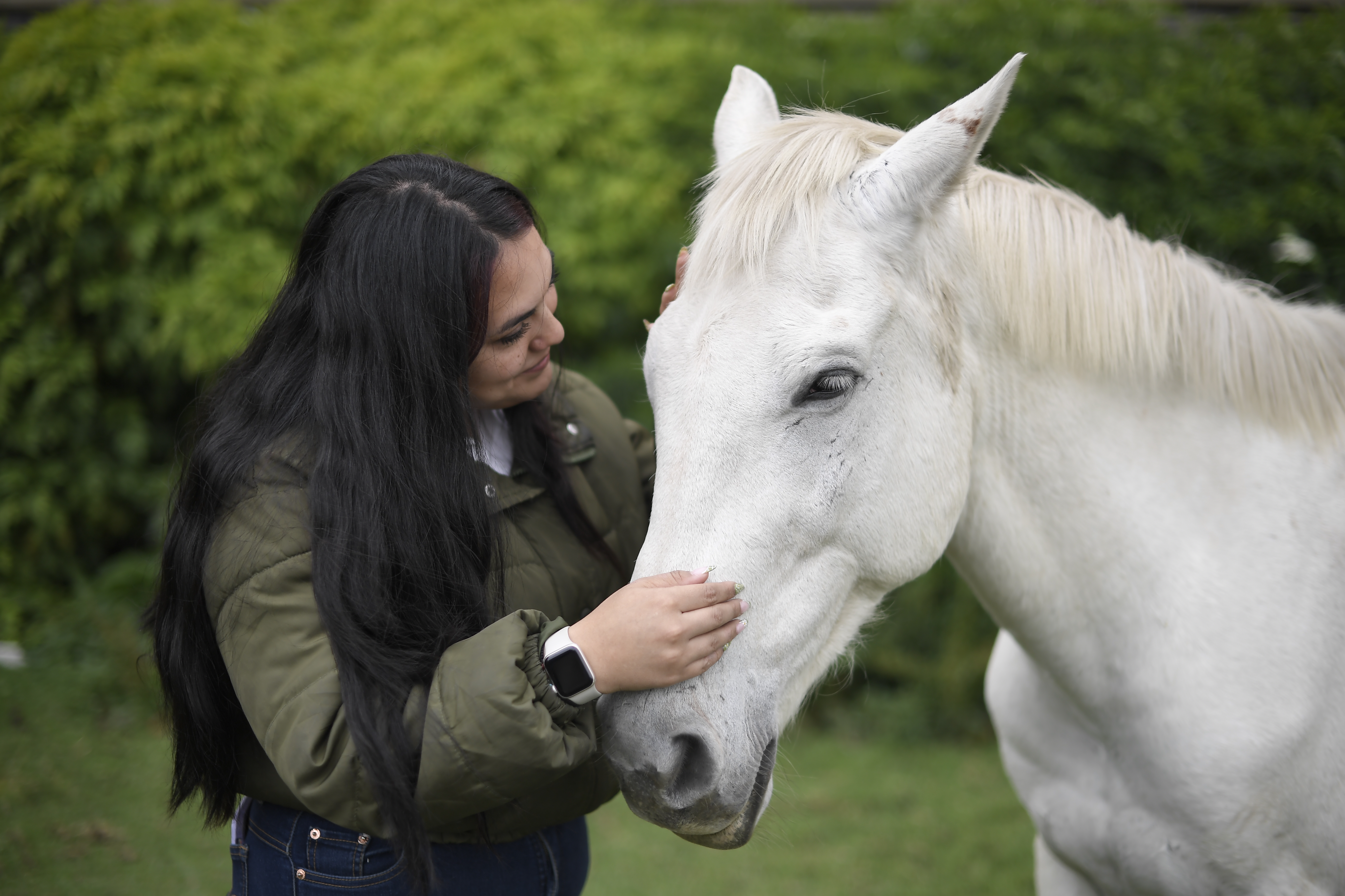 Terapia que usa los movimientos de un caballo para lograr las respuestas deseadas en una persona con algún tipo de discapacidad.