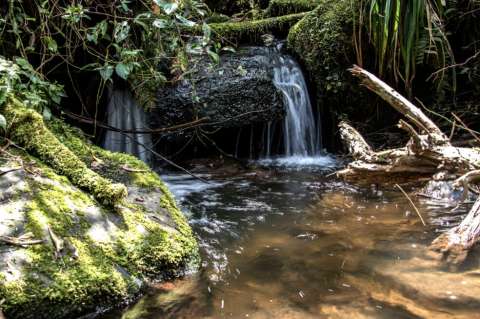 Reabren sendero de la quebrada La Vieja, con restricciones