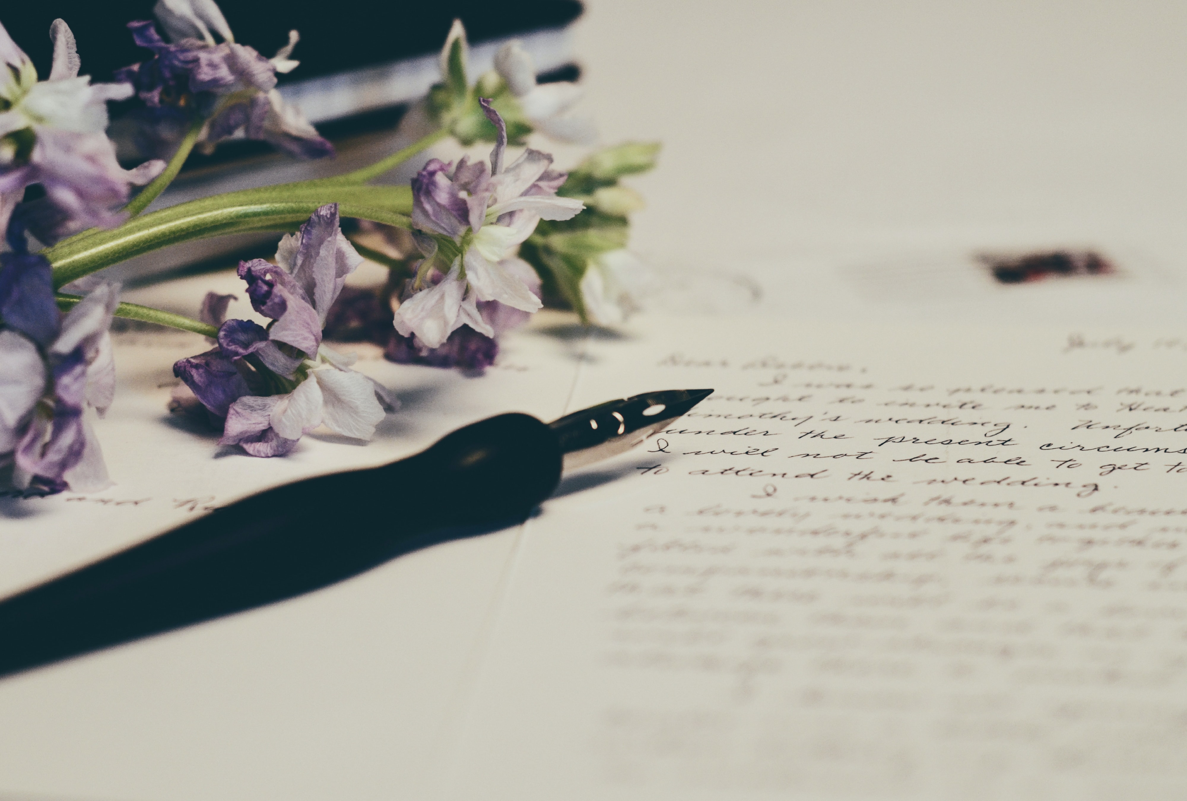 Carta de una mujer a su extraño amante (verso a verso).