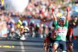 Etapa 16 de infarto en la Vuelta: pinchó Evenepoel y Roglic sufrió una dura caída