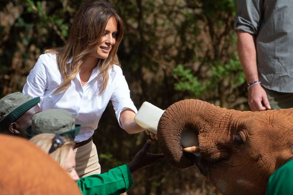 Vestida con una camisa blanca, pantalones y botas marrones, Melania alimentó a varias crías de elefante, primero con cierta cautela, y a medida que se sentía más cómoda entre risas y caricias afectuosas. / AFP