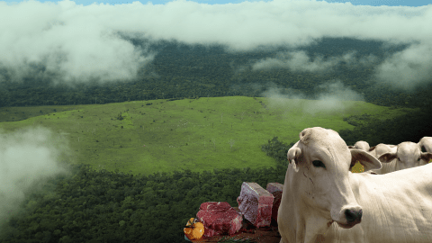 Colombia pondrá carne en platos de China, ¿cómo evitar que salga de áreas protegidas?