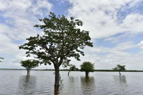 Los humedales están desapareciendo tres veces más rápido que los bosques