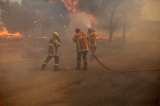 Alrededor de 25.000 personas tuvieron que evacuar por los incendios en Grecia