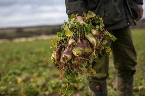 Buscan centralizar la información del sector agropecuario