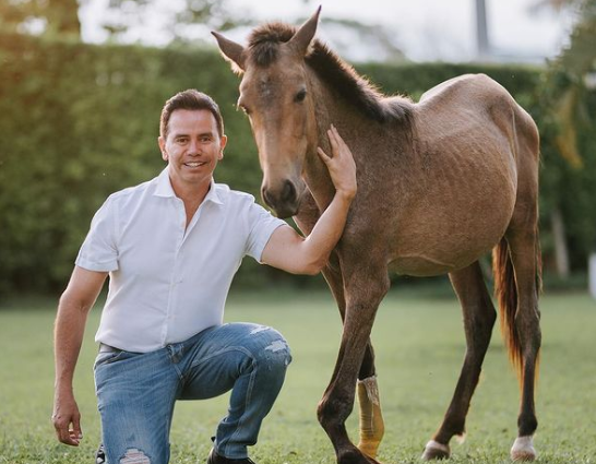 ‘Valentino’, el caballo de Jhonny Rivera, sobrevivió a su cirugía y así se ve