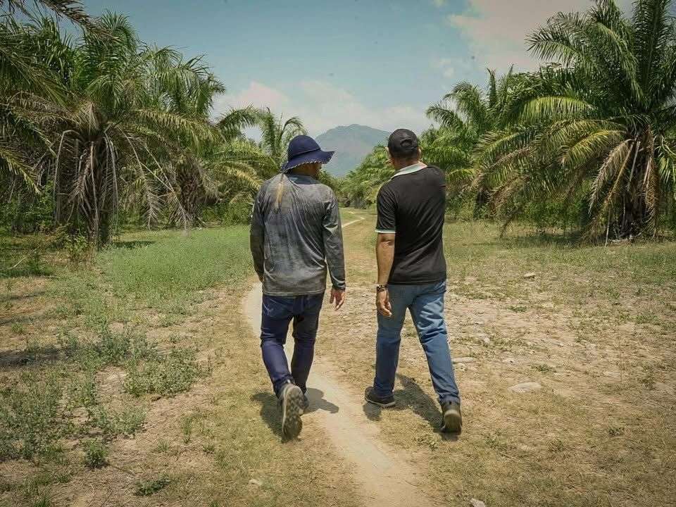 El concepto de la Agencia Nacional de Tierras señala que el predio tiene potencialidades para ganadería y cultivos semestrales.