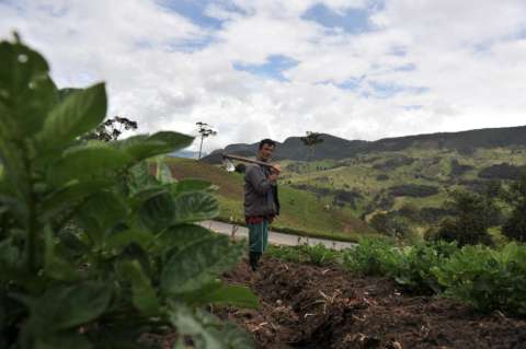 Así van los homicidios contra los líderes de zonas de reserva campesina