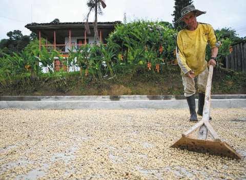 ¿Cómo aseguran su bienestar más de 600.000 campesinos en el país?