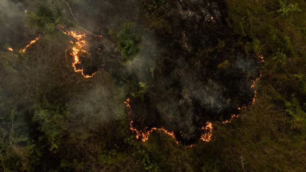 AME6401. MANAOS (BRASIL), 05/09/2024.- Fotografía tomada con un dron de un incendio que se apoderó de una zona verde este jueves, en la ciudad de Manaos, Amazonas (Brasil). Amazonas, el estado más grande de Brasil, sufre una crisis ambiental. Luego de vivir la mayor sequía de su historia e incendios récord en 2023, todo indica que este año las cifras podrían ser superadas e incluso antes de lo previsto. EFE/ Raphael Alves