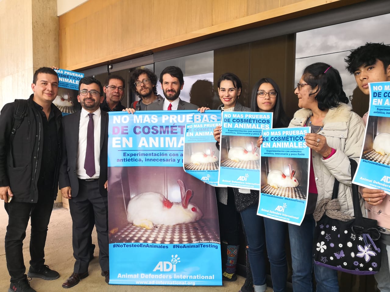 La iniciativa fue construida junto Animal Defenders International (ADI). / Prensa Juan Carlos Losada