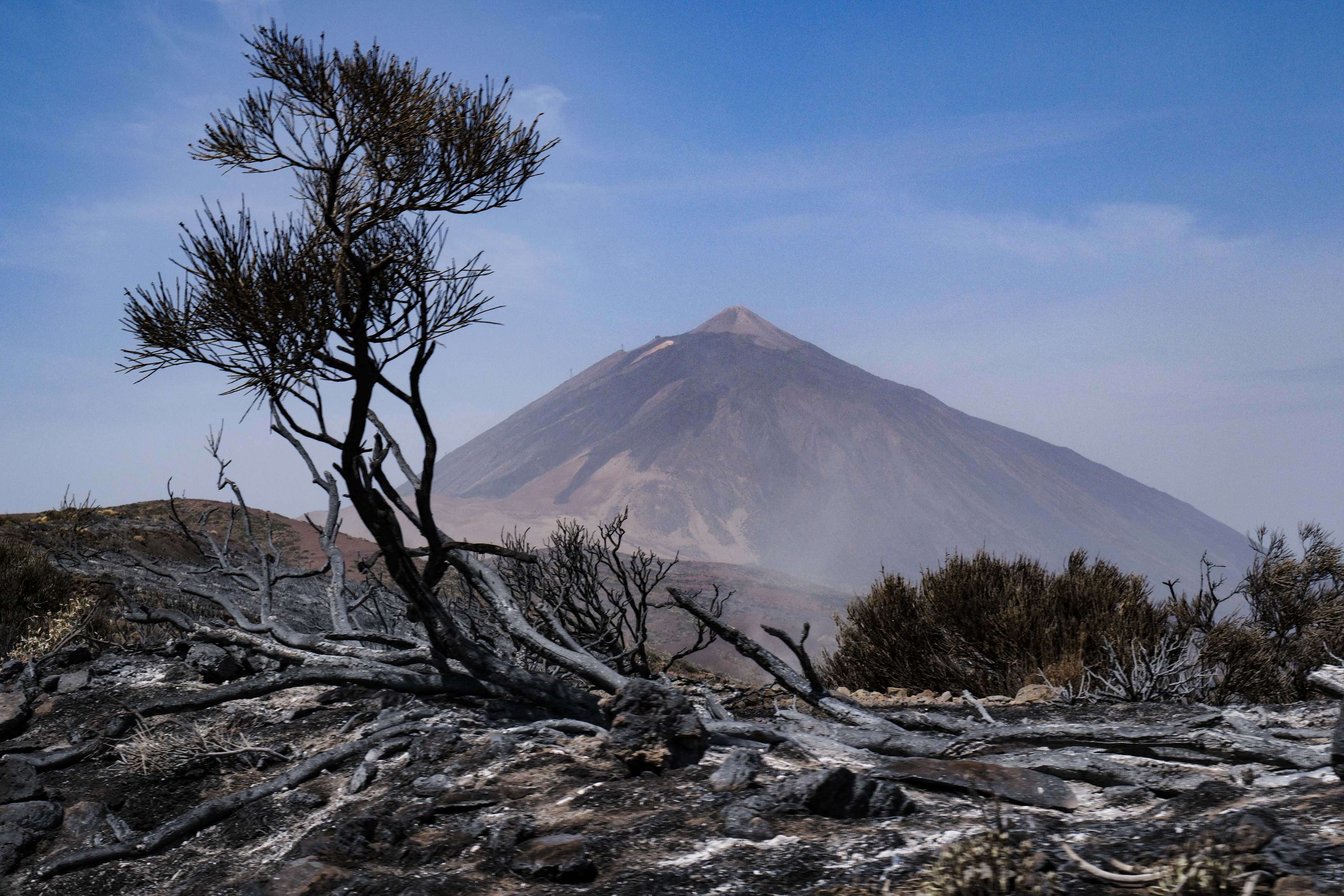 -FOTODELDÍA- GRAFCAN6085. IZAÑA (TENERIFE), 24/08/2023.- El Parque Nacional del Teide este jueves tras el paso del incendio forestal que afecta a la isla de Tenerife. EFE/Alberto Valdés