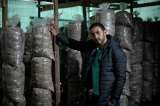Orellanas cultivadas en Usme: Óscar y de cómo el mundo fungi “salvó” su vida