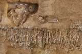 Lo que la ciencia descubrió sobre las batallas en la Antigua Grecia al analizar ADN