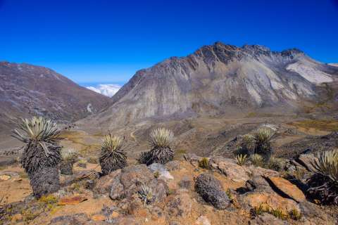 Venezuela ya no tiene glaciares: así los despidieron en sus últimos años