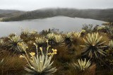 Delimitado el páramo de Sumapaz, el más grande del mundo