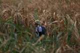 Minagricultura denunció que invasores de tierras falsificaron firma de la ministra