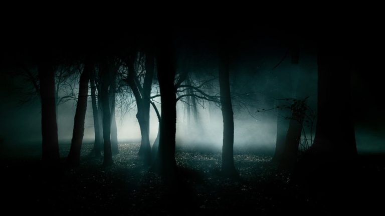 Fantasmas sobre cinta magnética (Cuentos de sábado en la tarde)