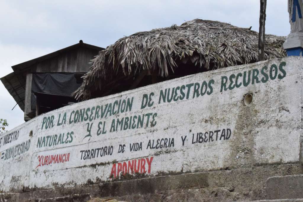 La forestería comunitaria en Yurumanguí da sus primeros frutos.