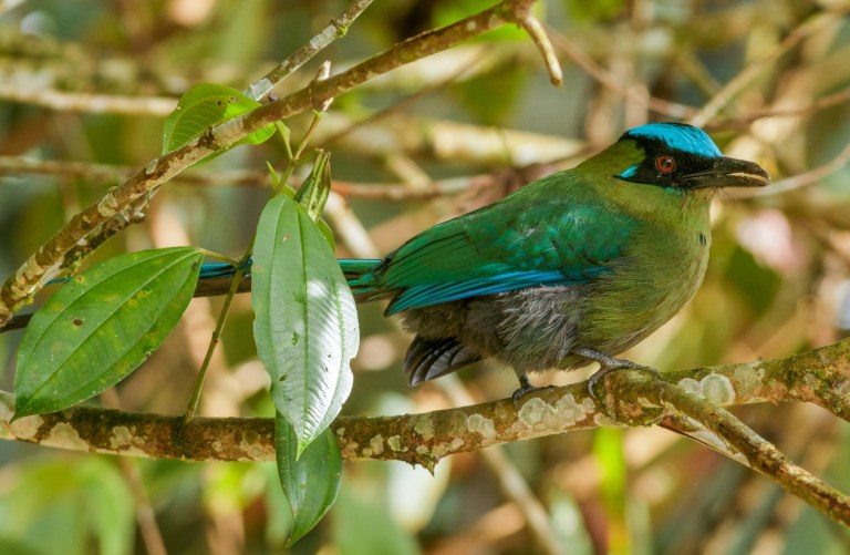 ¿Equidad en la COP16?