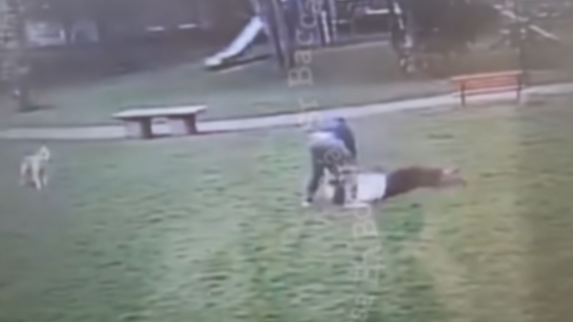 Hombre agredió a una mujer y a su mascota.