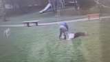 Hombre golpeó a una mujer y a su perro tras acercarse al suyo en Suba, Bogotá