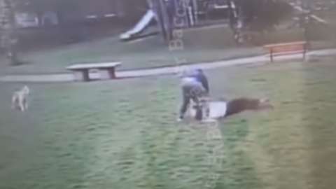 Hombre golpeó a una mujer y a su perro tras acercarse al suyo en Suba, Bogotá