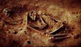 Hallazgo inesperado al analizar el ADN de quienes poblaron Colombia hace 6000 años