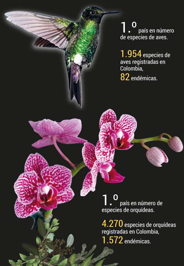 Colombia, destino ecoturístico por naturaleza.