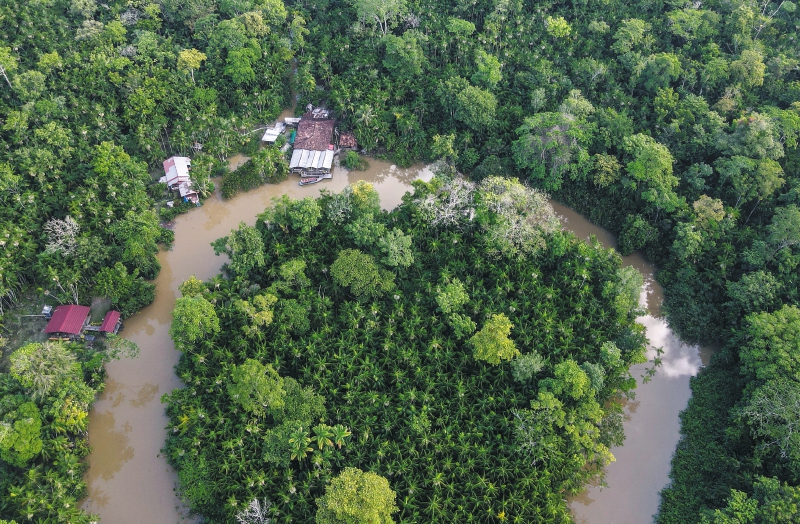 La Amazonía, ecosistema clave que hace parte de Colombia, será uno de los centros de la discusión en la COP16 que se llevará a cabo en el país.