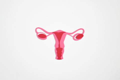 Cáncer de cuello uterino: qué es, causas, síntomas y cómo prevenirlo