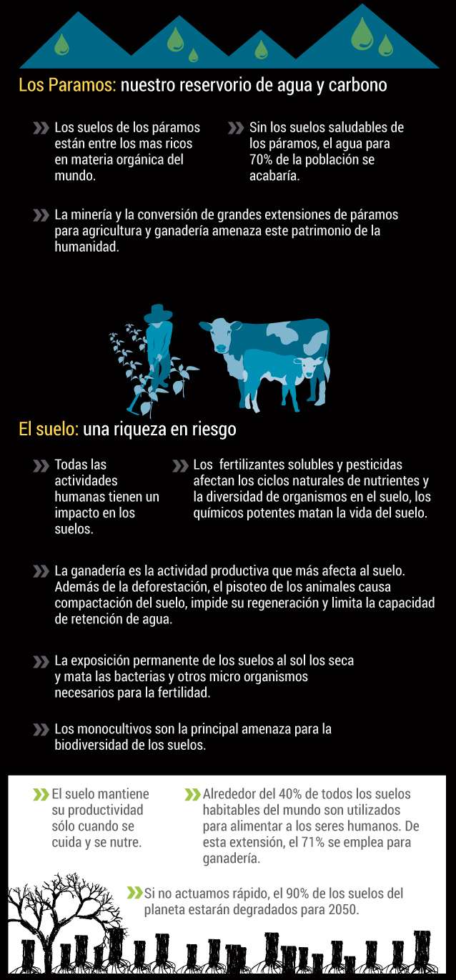 Día Mundial del Suelo 2020