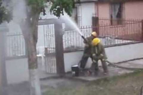 Abejas causan emergencia en Bogotá al picar a 12 personas