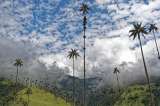 Evidencia científica: clave en la toma de decisiones sobre biodiversidad en el país