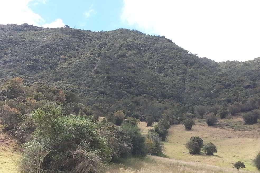 En la vereda Río Frío, de Tabio (Cundinamarca) se pretende explotar carbón. La comunidad rechaza el proyecto. Alcaldía de Tabio.