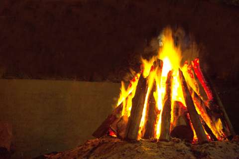 Los humanos ya cocinaban pescado hace 780.000 años
