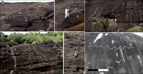 El significado  de las serpientes gigantes del arte rupestre de la Orinoquía colombiana