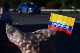 Se vendieron más de 2.000 toneladas durante “papatón” en peajes de Cundinamarca