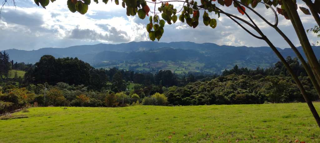 El lente gran angular permite tomar fotos de 8 megapíxeles, cuenta con una apertura focal de 2,2 y campo de 118 grados.