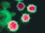 En Asamblea Mundial de la Salud piden seguir investigando el origen del Coronavirus