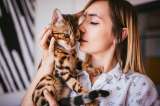 Cosas que los gatos aman de sus dueños