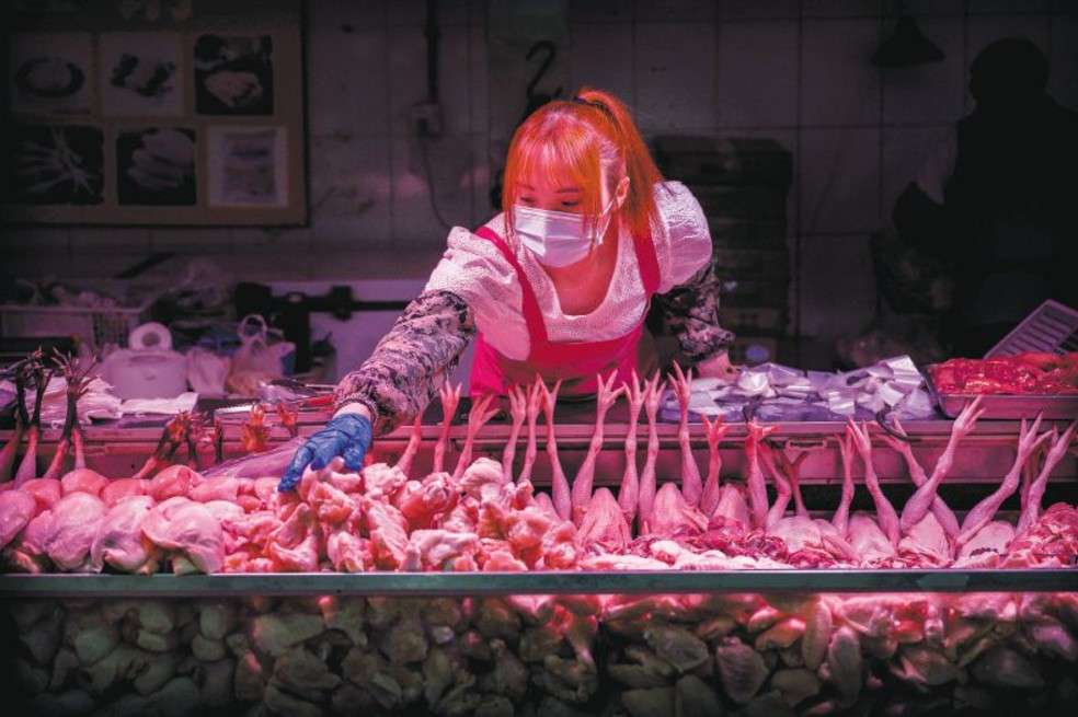 Se cree que este coronavirus se debe a animales de mercados silvestres en China. Estos mercados existen en muchos países en Asia, África y América Latina, y muchos otros virus están esperando su oportunidad de saltar.
