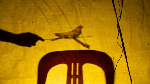 Un cine más que humano: nuevas posibilidades de expandir la vida en las imágenes