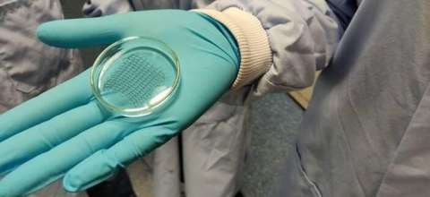 Bioingenieros crean un parche que podría reparar el corazón