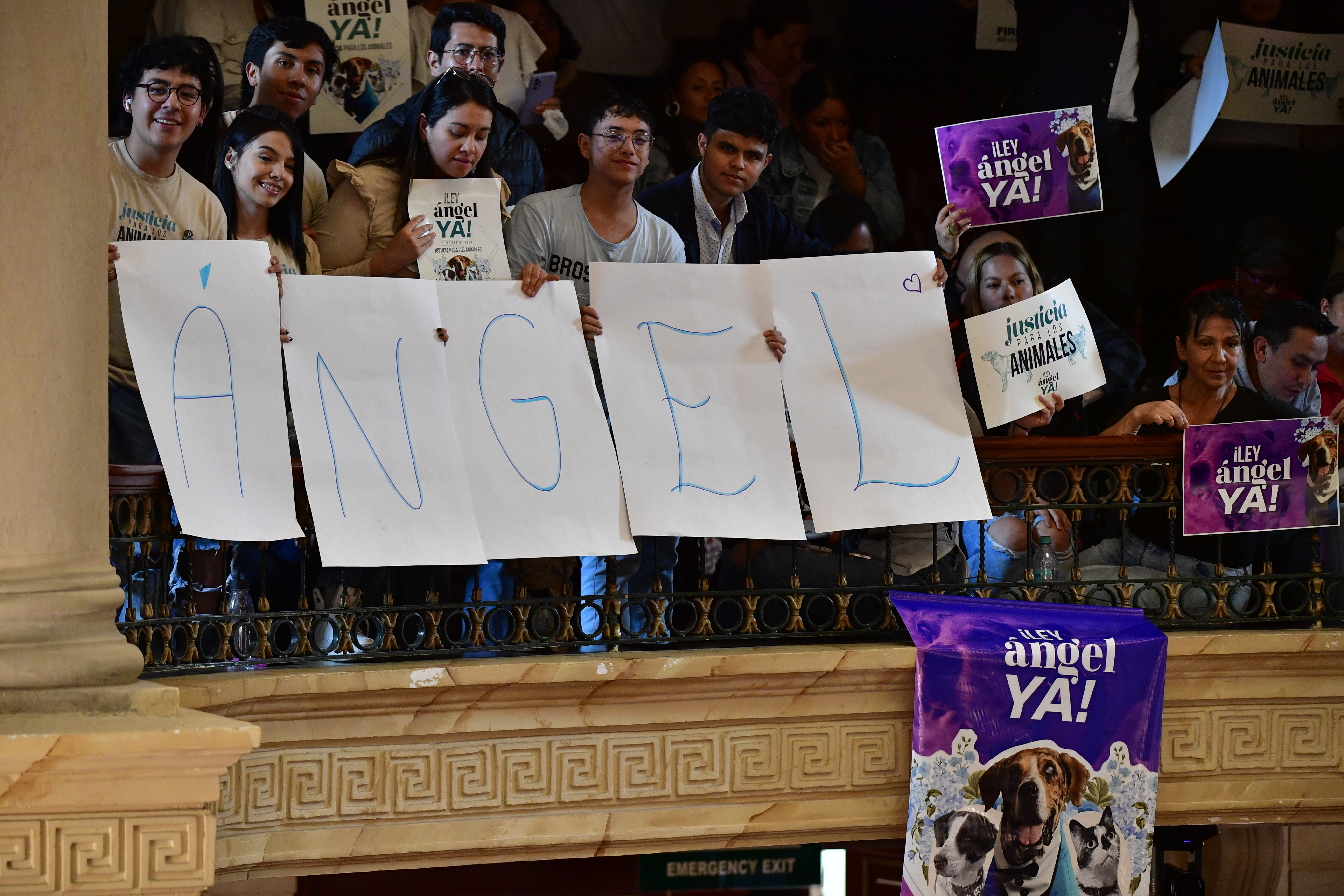Debate de aprobación de la Ley Ángel para mascotas en el Congreso de la República, ley que castiga el maltrato animal