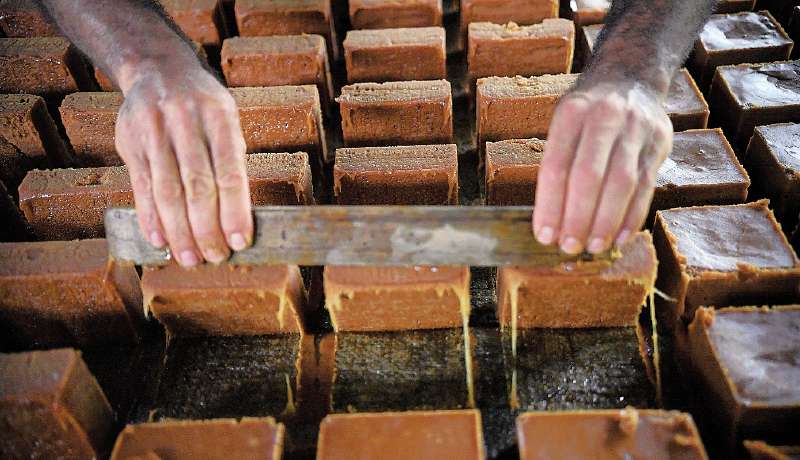 En Colombia alrededor de 350 mil familias campesinas dependen de la producción panelera y temen que este sea un intento por controlar el mercado.