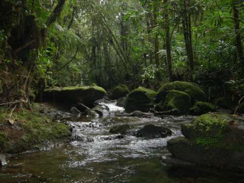 GESTIÓN COMPARTIDA EN EL DISTRITO DE CONSERVACIÓN DE SUELOS