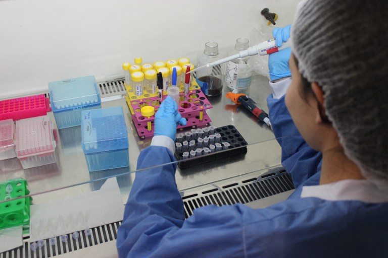 En la búsqueda de nuevos medicamentos a partir de plantas
