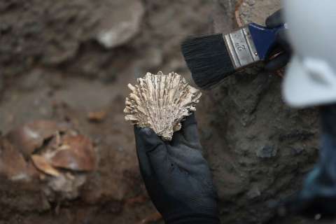 Encuentran más tumbas prehispánicas de hasta 2.000 años de antigüedad en Lima