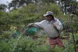 Los COP 44 billones que impulsan la productividad del campo colombiano